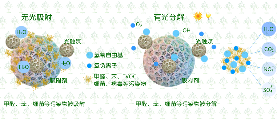 重庆虎普环保科技公司光催化综合治理技术